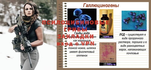 спайс Ростов