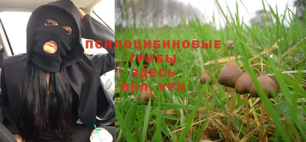 прущие крисы Рославль