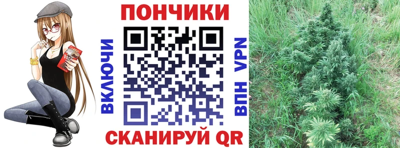 Марихуана SATIVA & INDICA  Купить где  Артём 